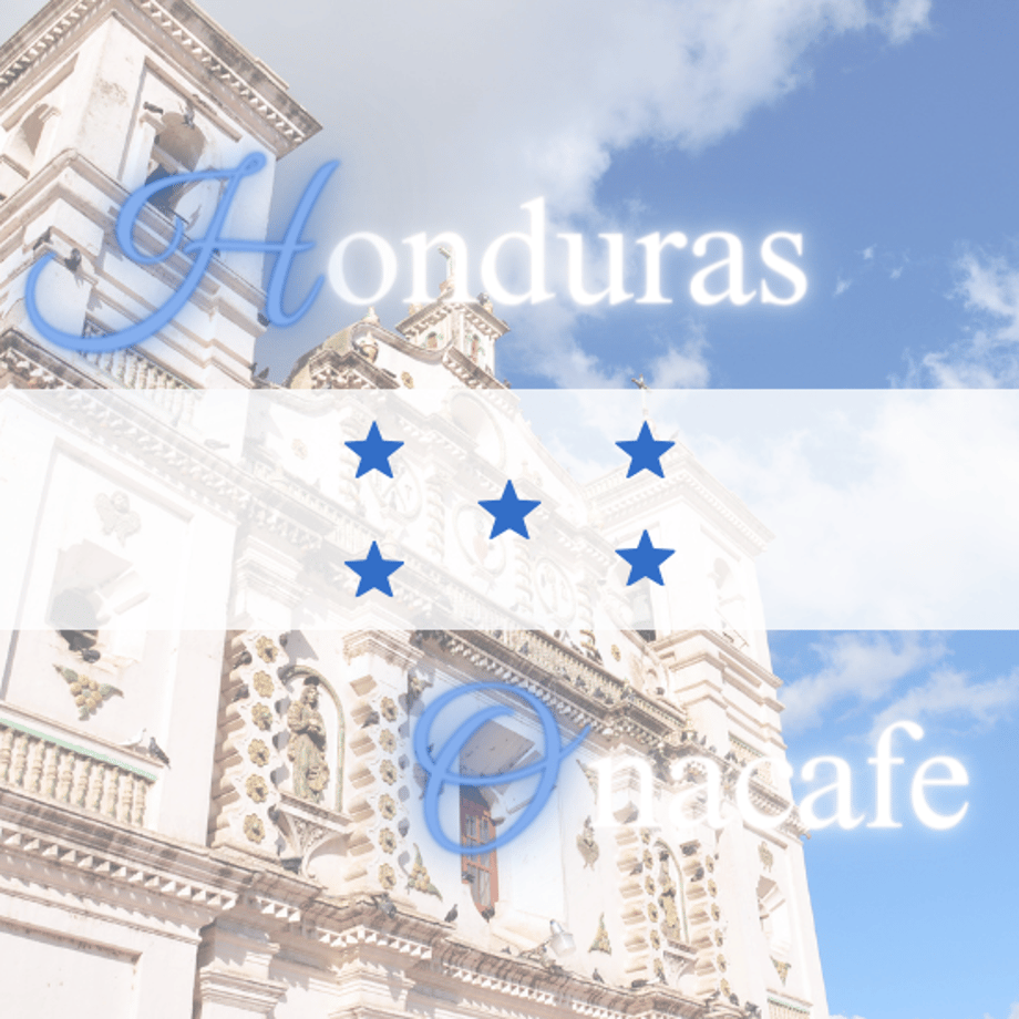653c81ee57ef720a4a1056a5