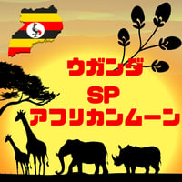 【Lサイズ】ウガンダSPアフリカンムーン（生豆500g）