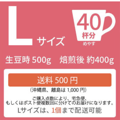 【Lサイズ】グァテマラSHBプューマ（生豆500g）