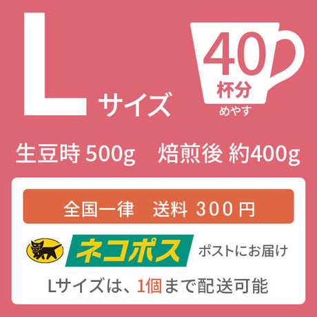 【Lサイズ】厳選コロンビア （生豆500ｇ）