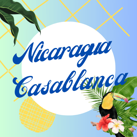 【Sサイズ】ニカラグア・カサブランカ・ウォッシュ（生豆125g)