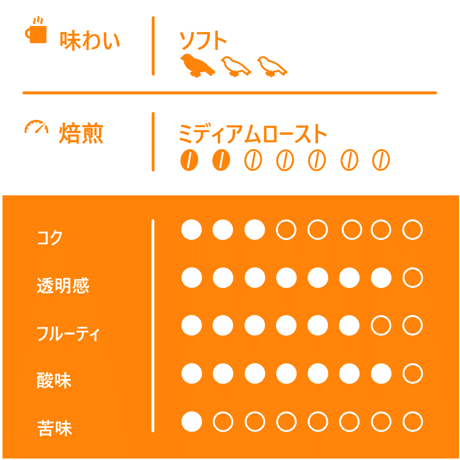【Mサイズ】タンザニアTheキリマンジャロ（生豆250g）