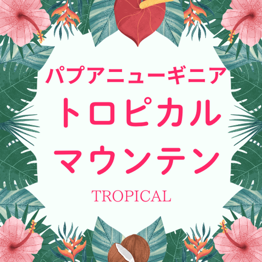 62f8700c2fc88106da6e157b