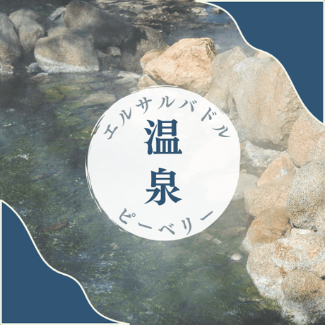【Sサイズ】エルサルバドル温泉ピーベリー（生豆125g）