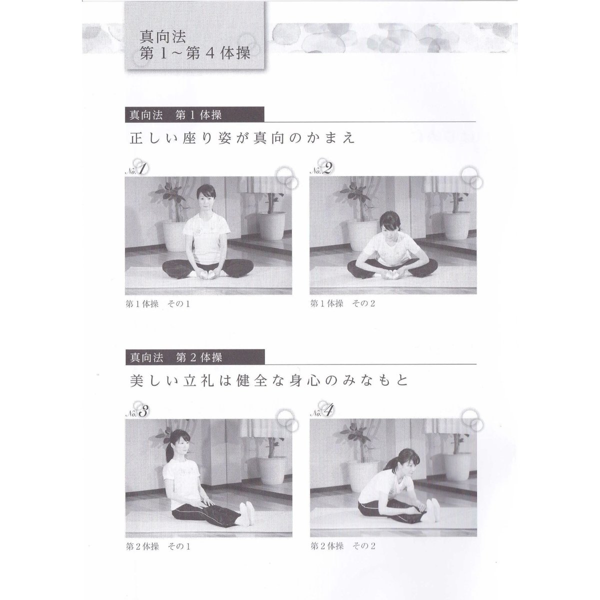 DVD 真向法はつらつ一人補導体操（冊子付き）【送料無料】 | 真