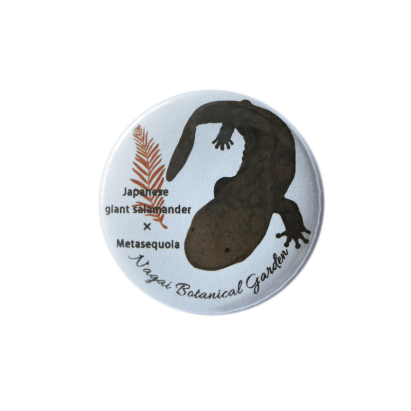 オオサンショウウオ×メタセコイア」缶バッチ | 長居植物園 online store