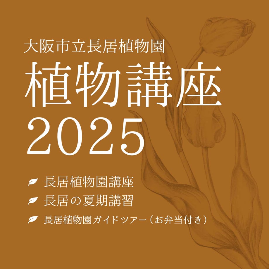 67c17239c82327015500069f