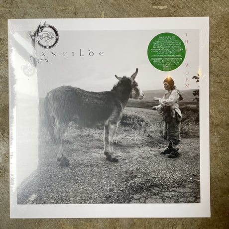 CATEGORY レコード | 平凡