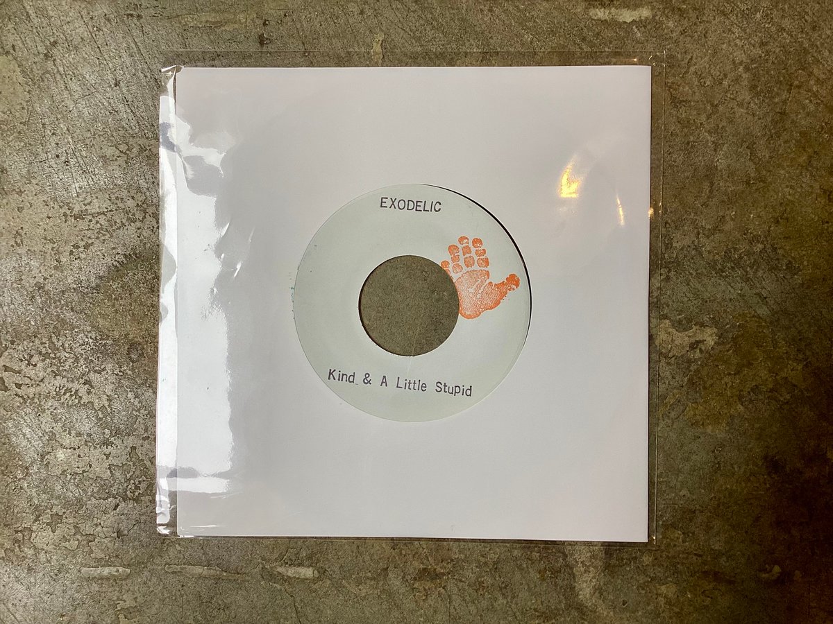 邦楽 EXODELIC Kind And A Little Stupid 7inch EXODELIC『Kind a Little Stupid/Life On the Plane