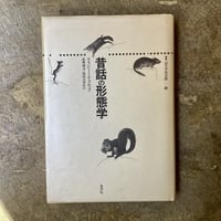 campanella AMULUE lp レコード Campanella『AMULUE』(LP) | 平凡