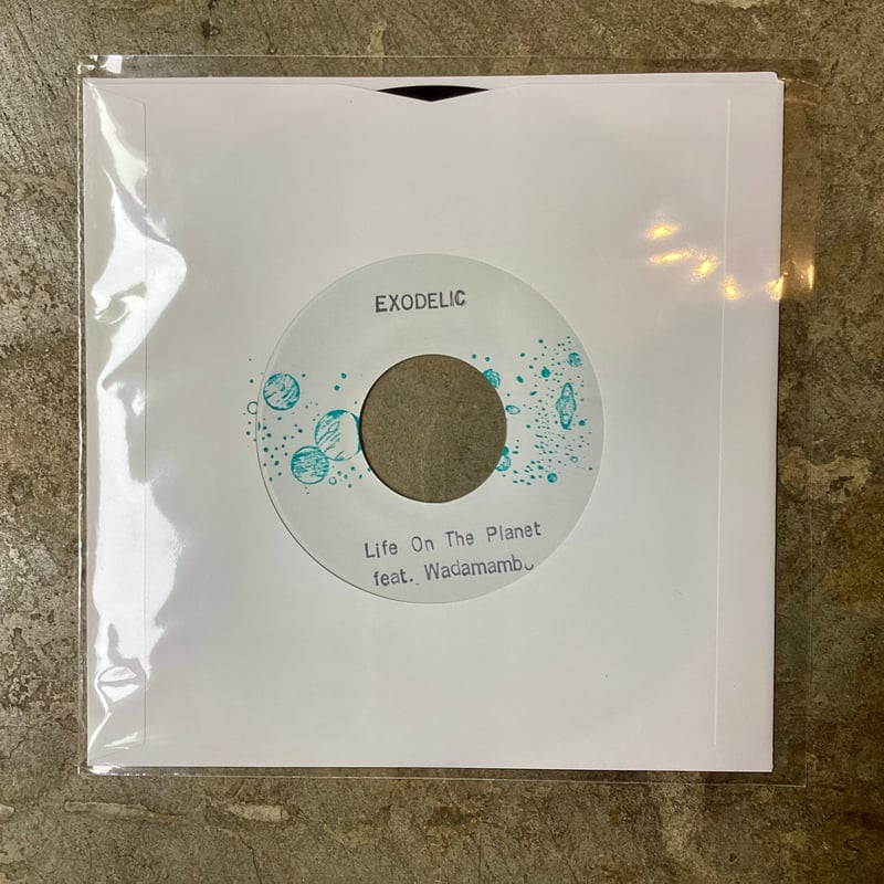 EXODELIC『Kind a Little Stupid/Life On the Plane