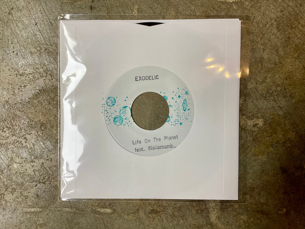 EXODELIC『Kind a Little Stupid/Life On the Plane