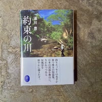 富岡多恵子『物語のようにふるさとは遠い』(LP) | 平凡