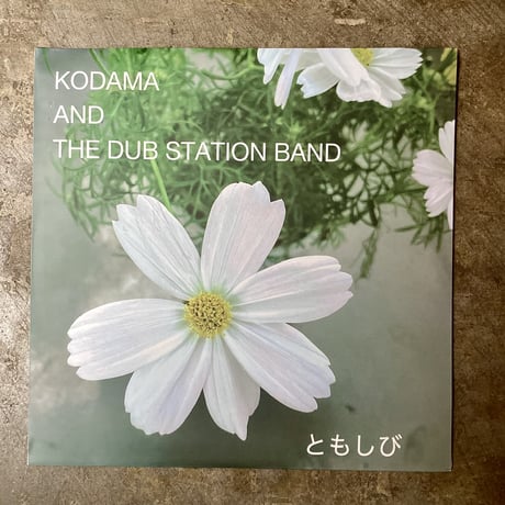 テクノ・ポップ希少盤　オマタシンイチ/僕・猫・プラタナス　2枚組LP シンジカトウオンライン限定ミニポスターB5サイズ[雨ニモマケズ