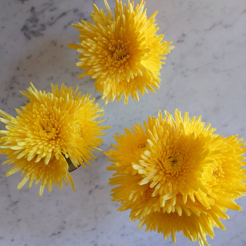 11月限定］華やかな香りと甘やかさ、シルキーな触感を楽しめる「阿房宮