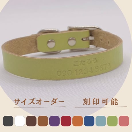 わんにゃん家族