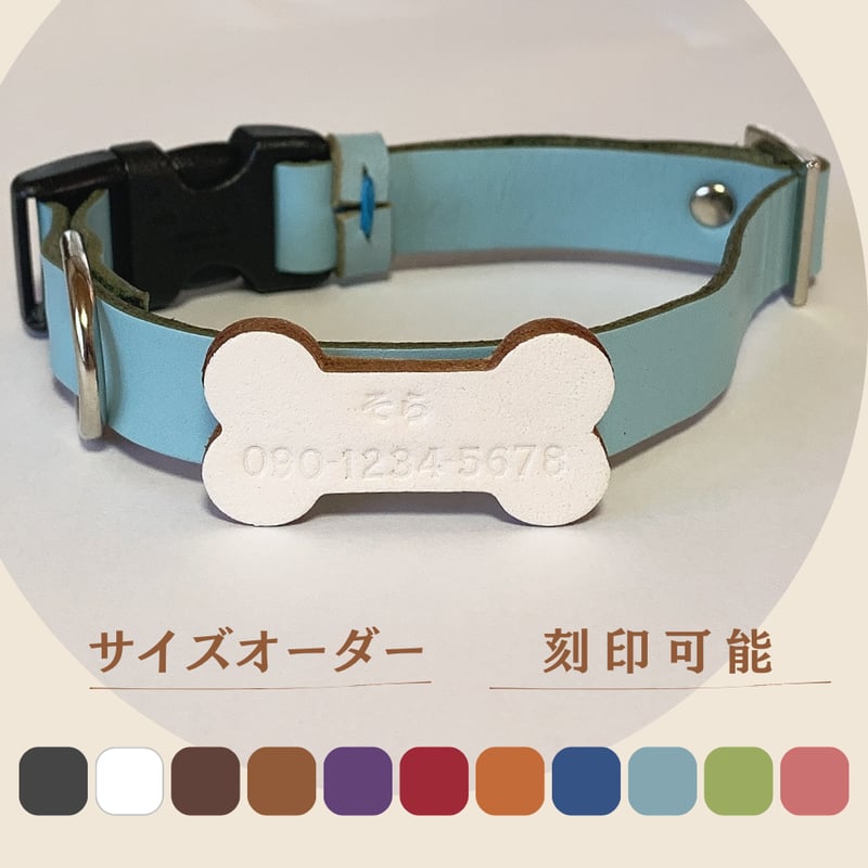 天然シェル(貝)の上品おしゃれな迷子札付首輪☆裏面に電話番号も可