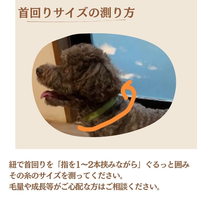 幅広2.1cm 優しいつけ心地 本革 犬 レザー 首輪 革 迷子札つき