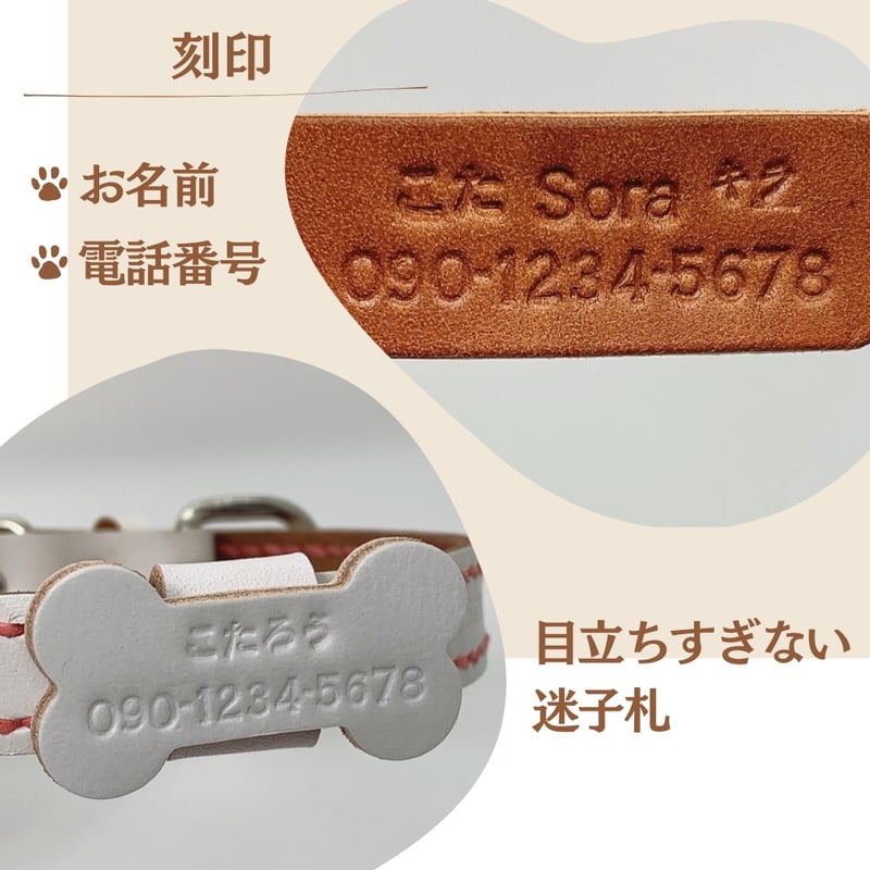 天然シェル(貝)の上品おしゃれな迷子札付首輪★裏面に電話番号も可★ 天然シェル(貝)の上品おしゃれな迷子札付首輪☆裏面に電話番号も可