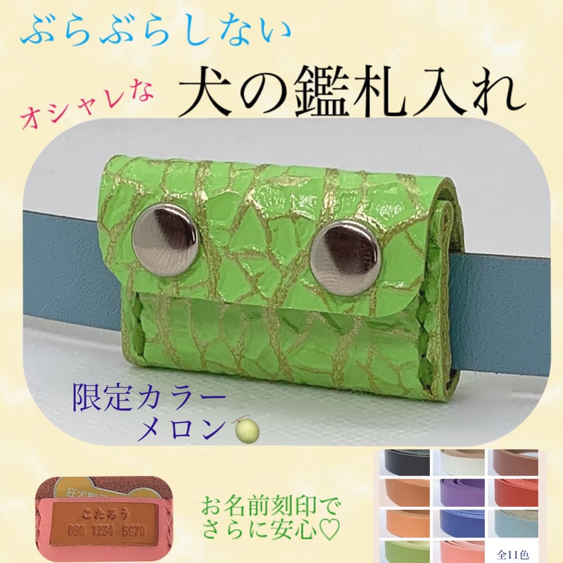 限定色 メロン 本革 鑑札入れ 迷子札付き 巻き付けタイプ 犬 | わん