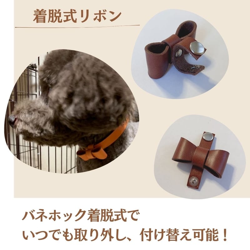 リボン付き ステッチが可愛い 猫・犬用 本革首輪 お名前・電話番号刻印