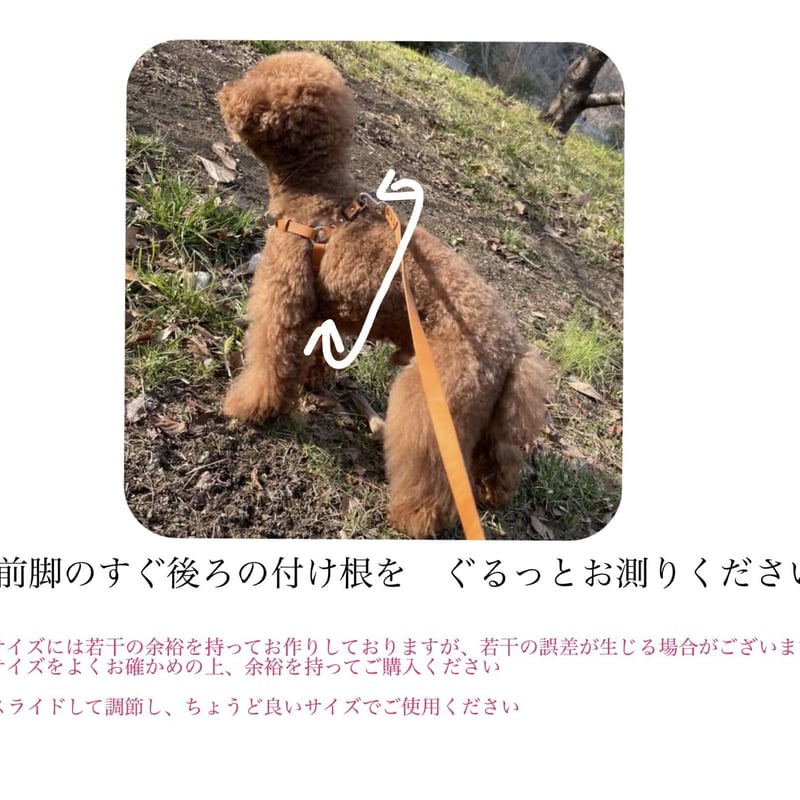 【小型犬用】★本革★ 手縫いで製作したワンちゃん用のハーネス　(７色展開) 楽天市場】犬 ソフトハーネス ハーネス 超小型犬 小型犬 中型犬
