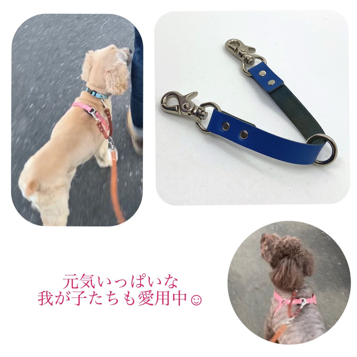 犬 猫 ピンク ペット 首輪 ハーネス ライト 散歩 キーホルダー