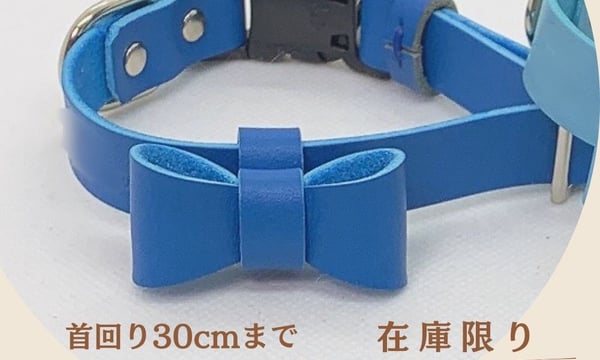 わんにゃん家族