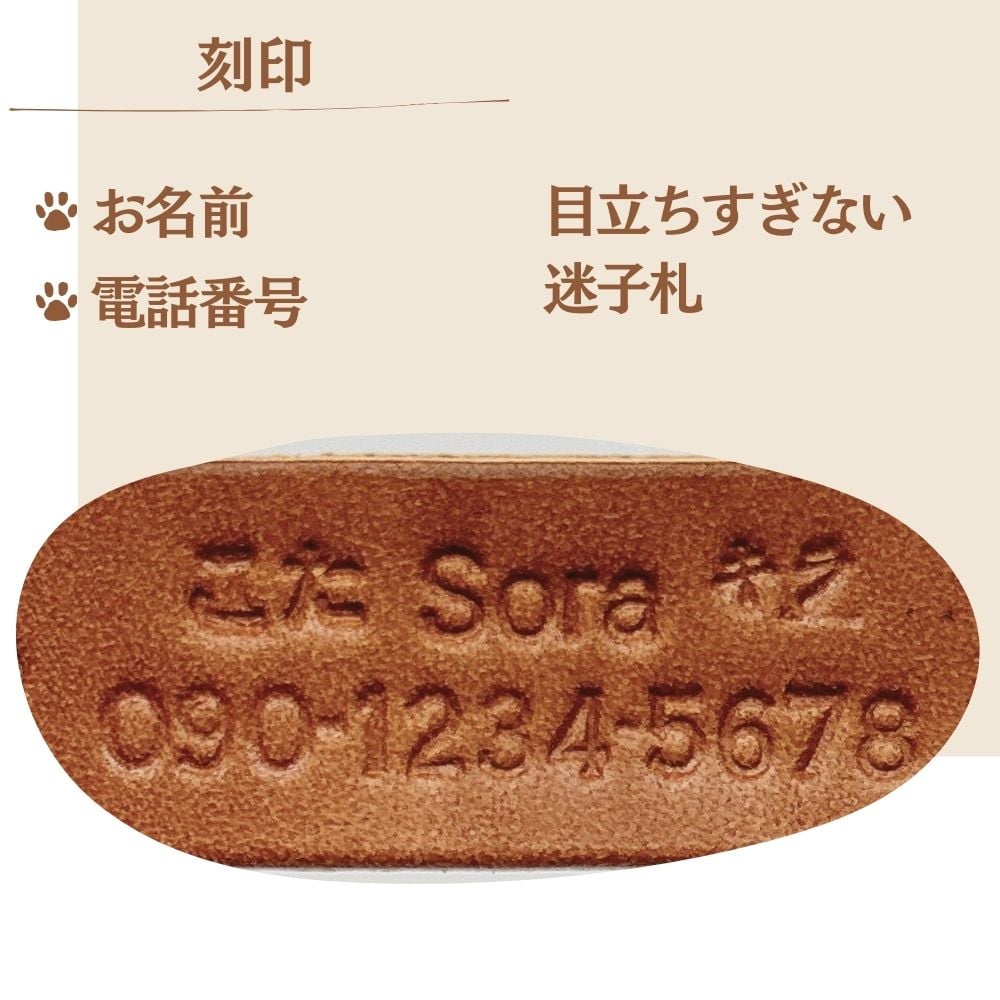 優しいつけ心地】 お名前・電話番号刻印 犬用 本革首輪 迷子札に