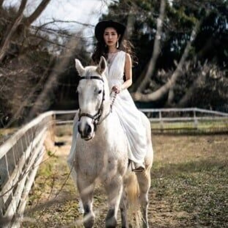 ウエディングドレス 前撮りフェミニンライン Aライン ノースリーブ V  