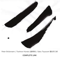 Peter Brötzmann、近藤等則、豊住芳三郎：COMPLETE LINK