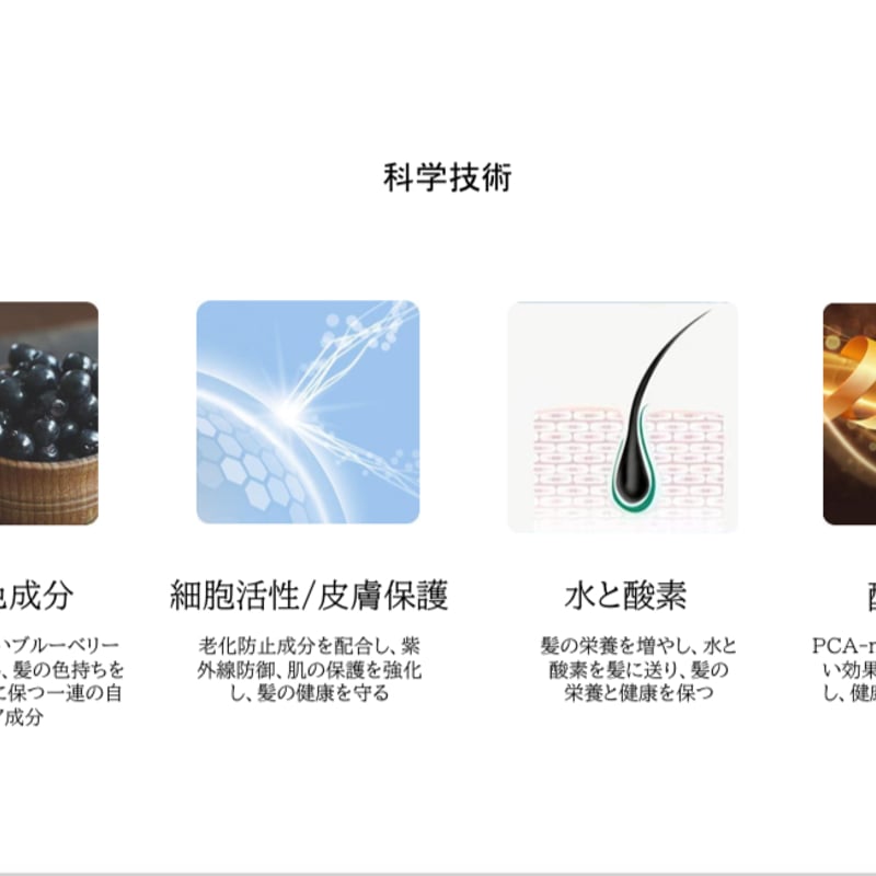 GraduRecolor カラーリストアシャンプー 147mL2本 GraduRecolor