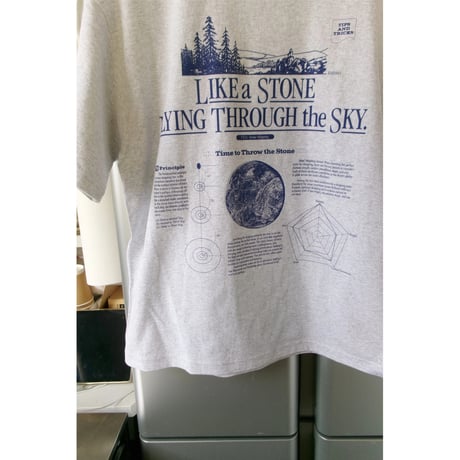 HIDAKA / STEINER TEE *ASH