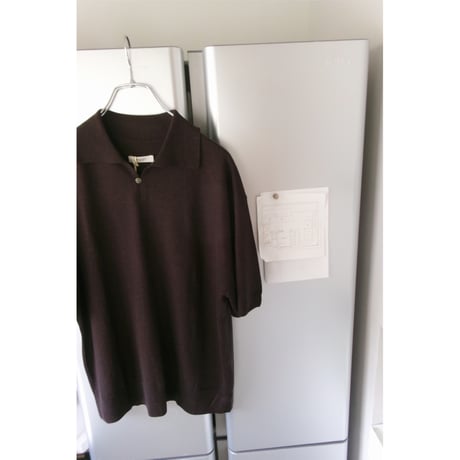 FUJI / SILK CASHMERE S/S SKIPPER POLO *BROWN