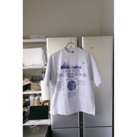 HIDAKA / STEINER TEE *ASH