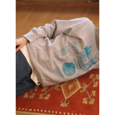 [別注] HIDAKA / STEINER TEE AWAJI *GRAY