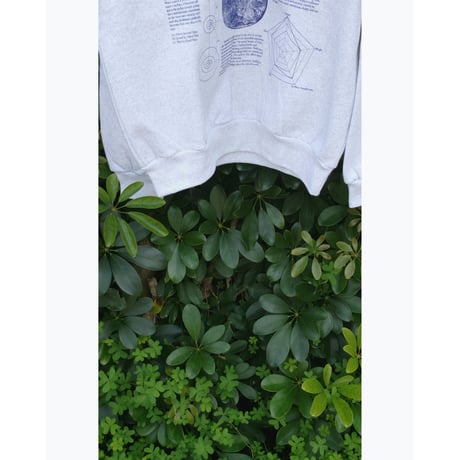 HIDAKA / STEINER SWEATSHIRTS *ASH