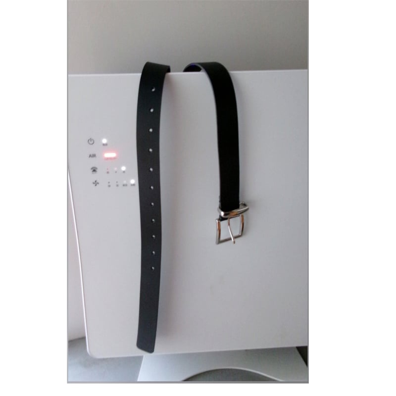 ABELIA EDWARD GOUCHA / CLASSIC LEATHER BELT *BL