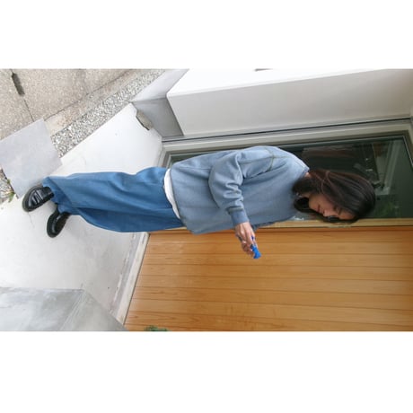 NO ROLL / W&L V NECK SWEAT