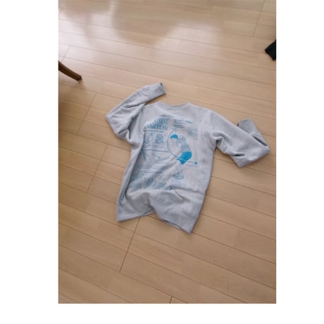 [別注] HIDAKA / STEINER TEE AWAJI *GRAY