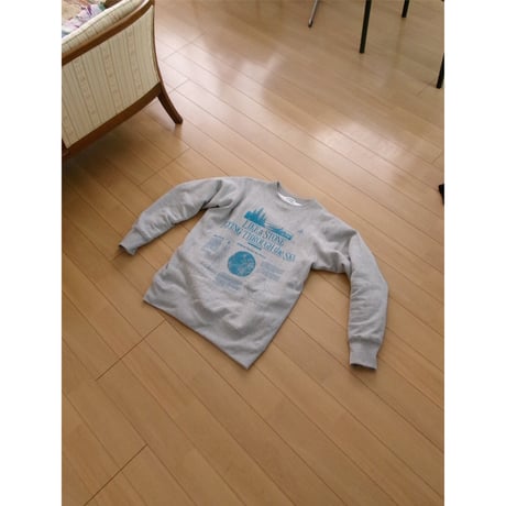 [別注] HIDAKA / STEINER TEE AWAJI *GRAY