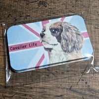 メッセージカード　２０枚セット