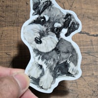 シュナウザー　耐水性タイプ ３
