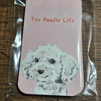 メッセージカード　２０枚セット
