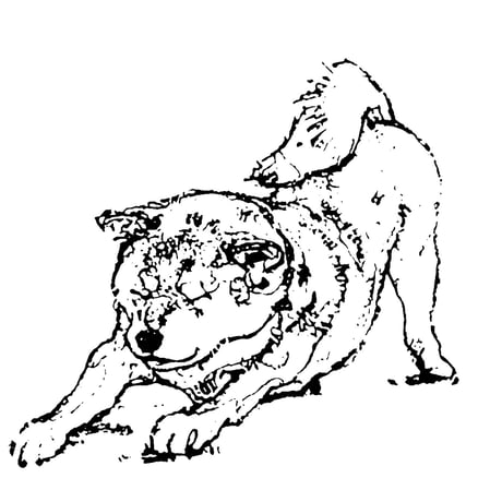 パーカー　柴犬 ジップなしタイプ
