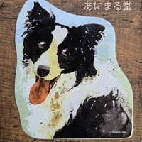 ボーダーコリー　耐水性タイプ １