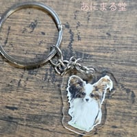 パピヨン　アクリルキーフォルダー