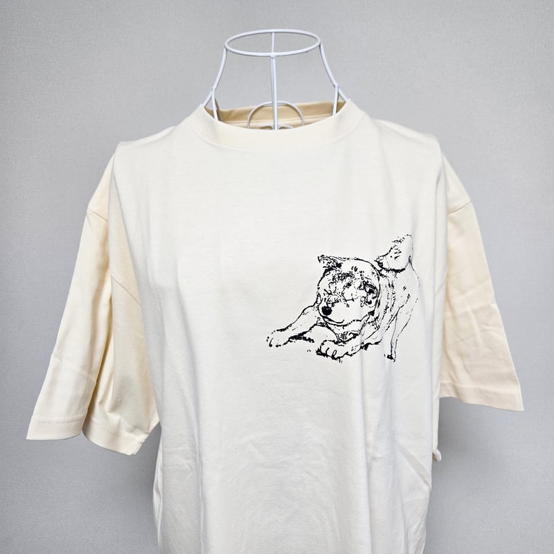 柴犬ごろん Tシャツ | あにまる堂