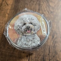 おやつ缶＆小物入れケース　ビジョンフィリーゼ