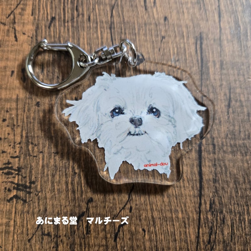 アクリルキーフォルダー マルチーズ | あにまる堂
